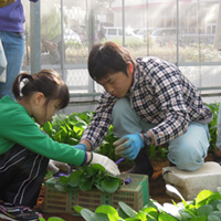 工場長@チームうぐいす