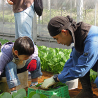 まさちぃ@チームうぐいす