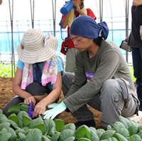 チームうぐいす 最年長@チームうぐいす