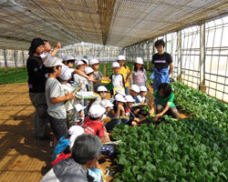 食育 社会科見学
